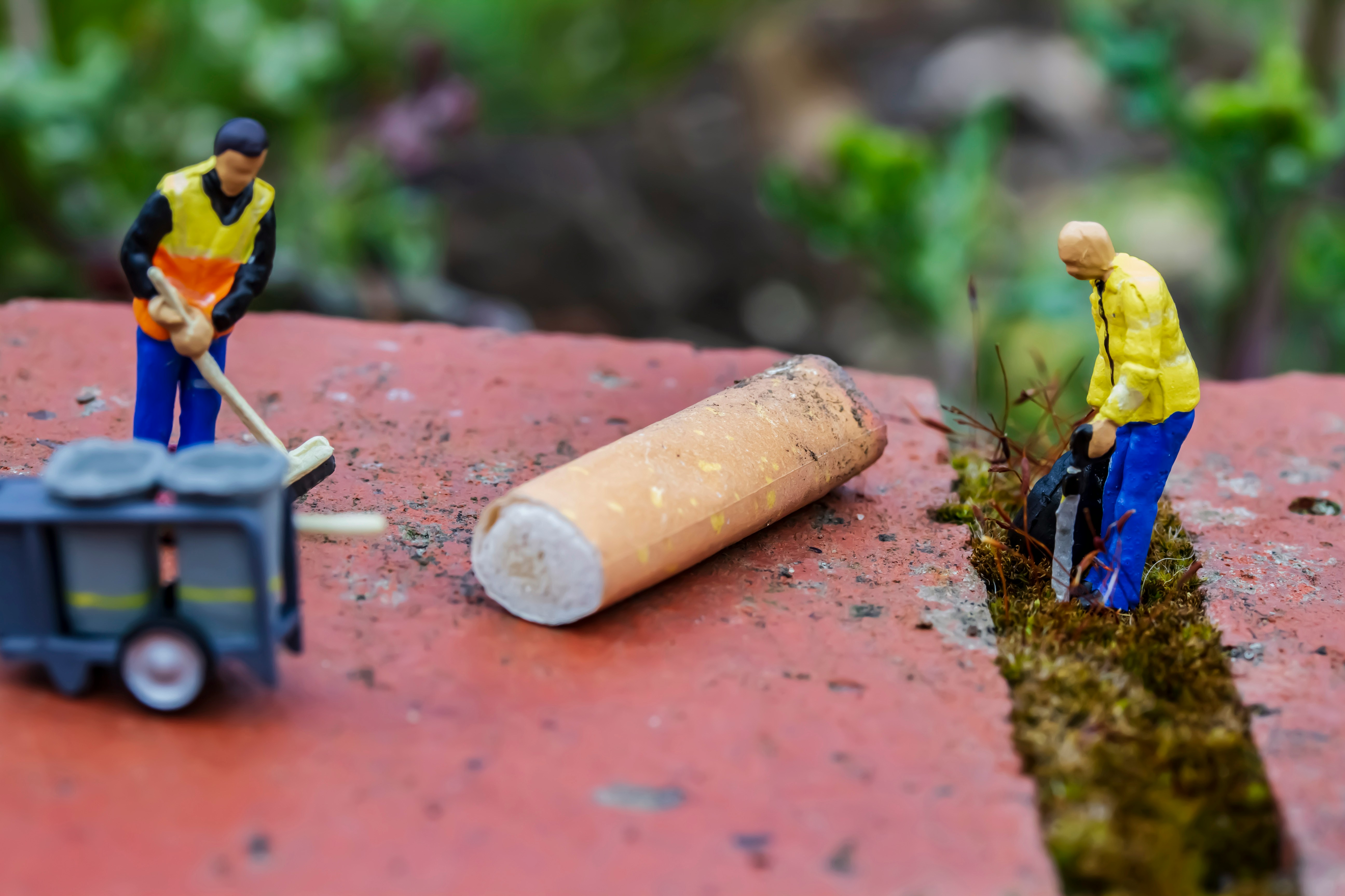 Volunteer for our summer litter pickup